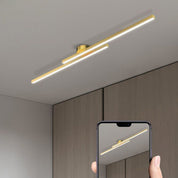 Lumen Aluminum Strip Ceiling Light