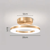 Lumen Iron Hallway LED Ceiling Light