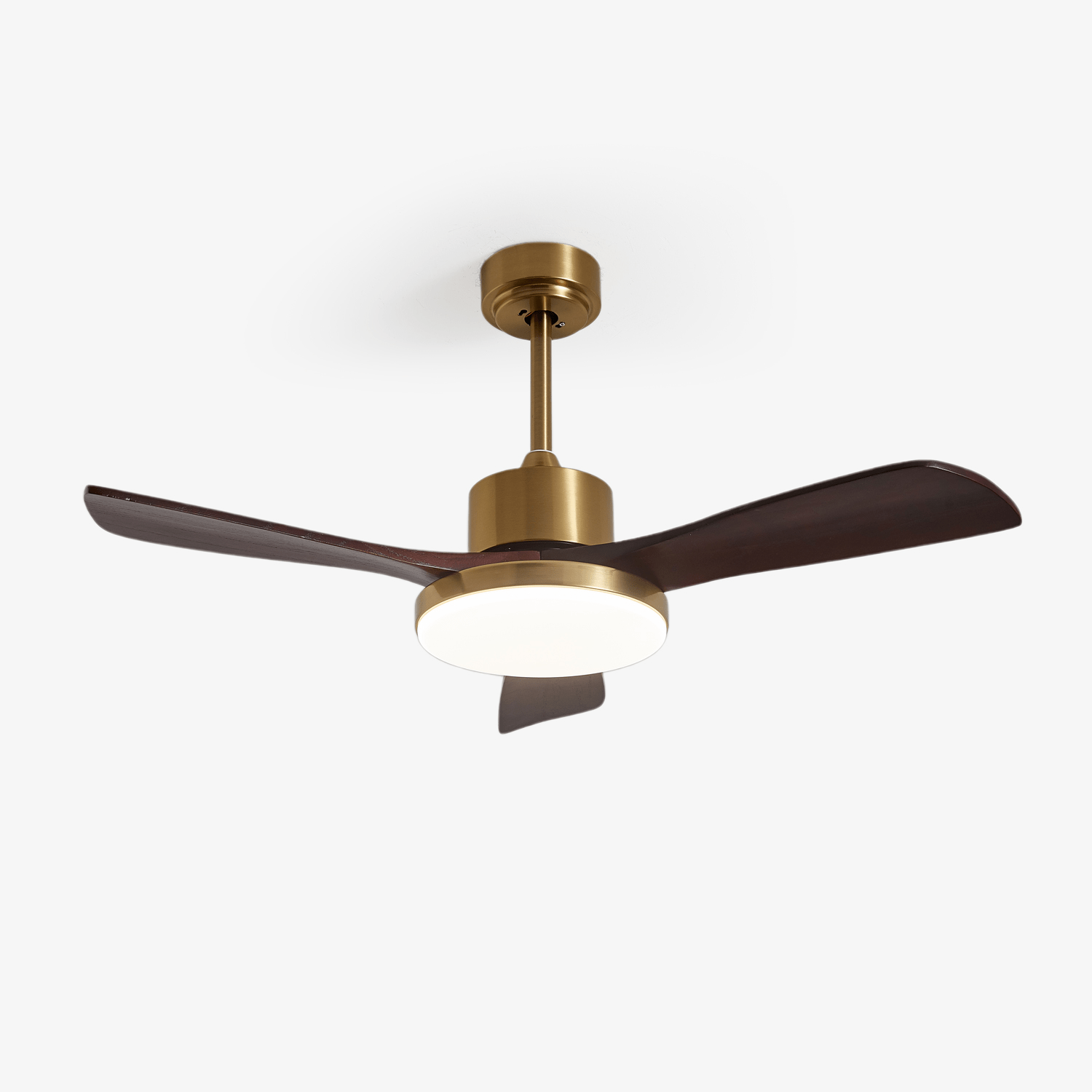 Lumen Brass Stem Wood Fan