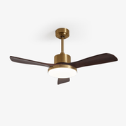 Lumen Brass Stem Wood Fan