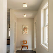 Lumen Porcelain Ceiling Light