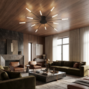 Lumen Fireworks LED Ceiling Light