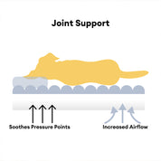 FurShield Orthopedic Dog Sofa Bed