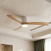Lumen Contemporary Ceiling Fan Light