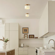 Lumen Porcelain Ceiling Light