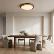Lumen Pebble Metal Ceiling Light