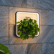 Lumen Illuminated Planter Wall Light