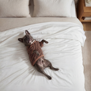 Drapée Bamboo Sheet Set - Pet Hair Repellent for Dogs/Cats Family