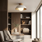 Lumen Eco Iron Shade Ceiling Light