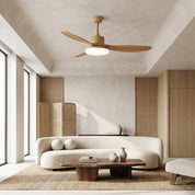 Lumen Asymmetric Blade Ceiling Fan