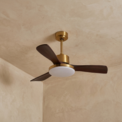 Lumen Brass Stem Wood Fan