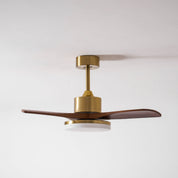 Lumen Brass Stem Wood Fan