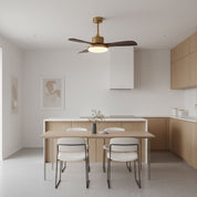 Lumen Brass Stem Wood Fan