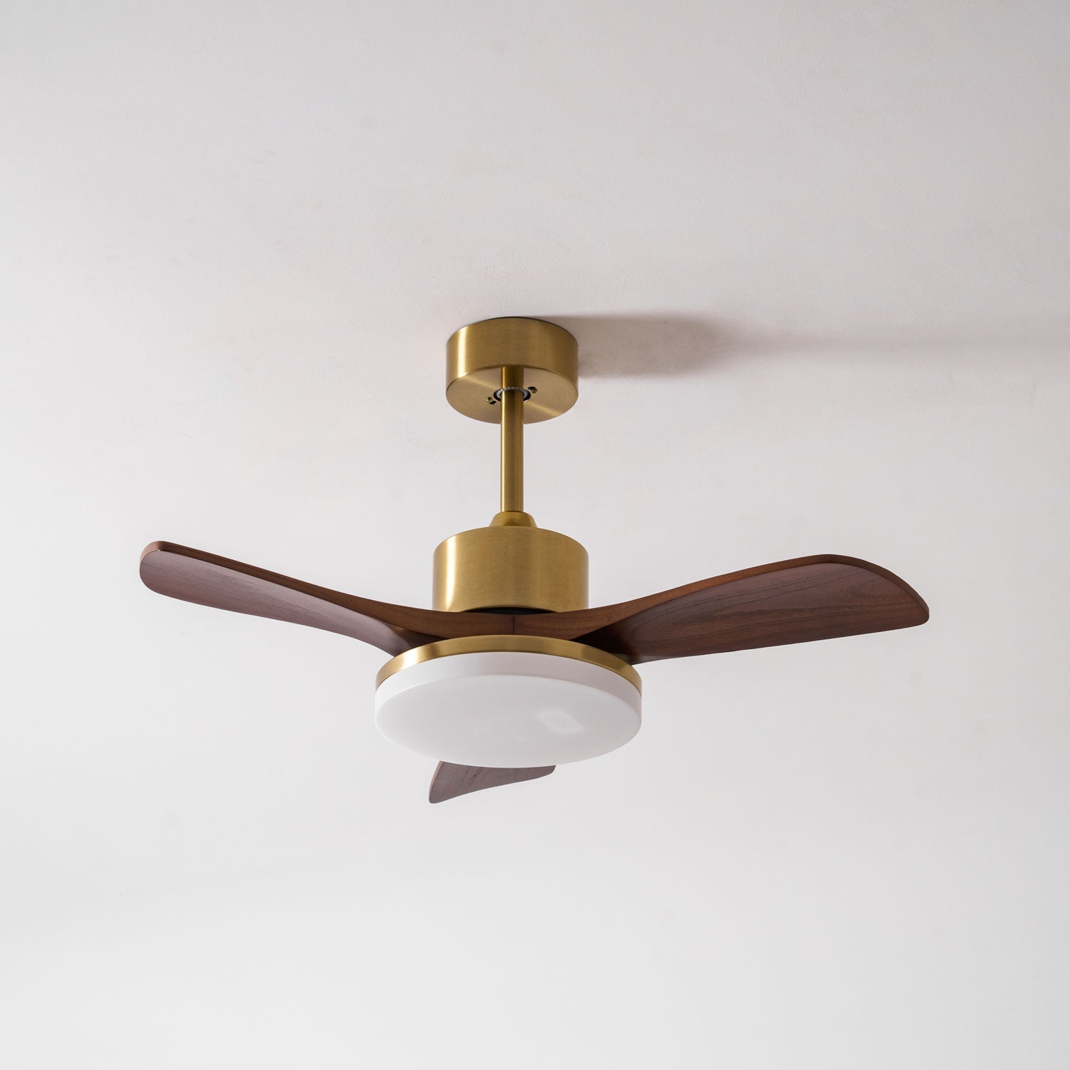 Lumen Brass Stem Wood Fan