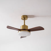 Lumen Brass Stem Wood Fan