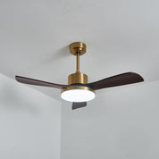 Lumen Brass Stem Wood Fan