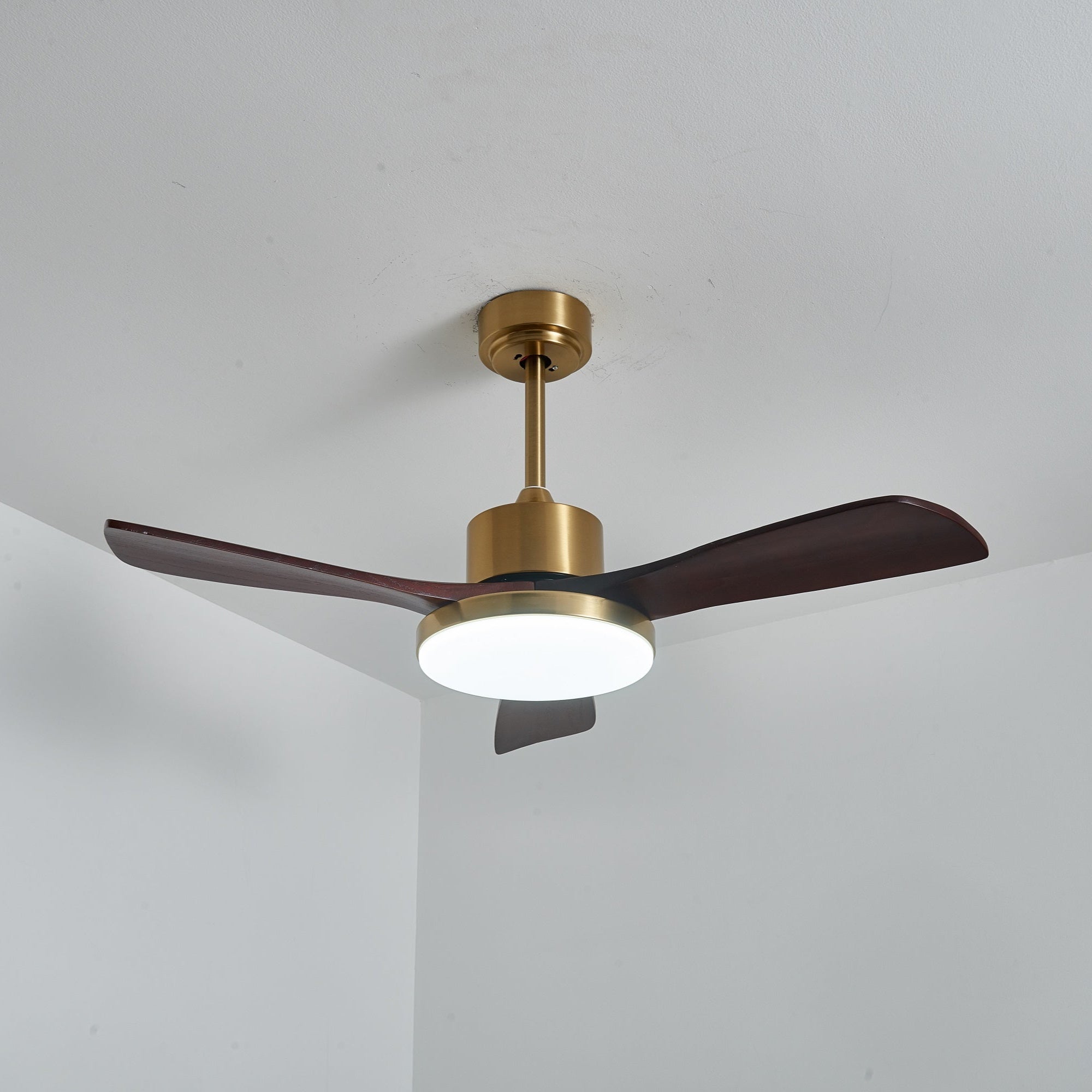 Lumen Brass Stem Wood Fan