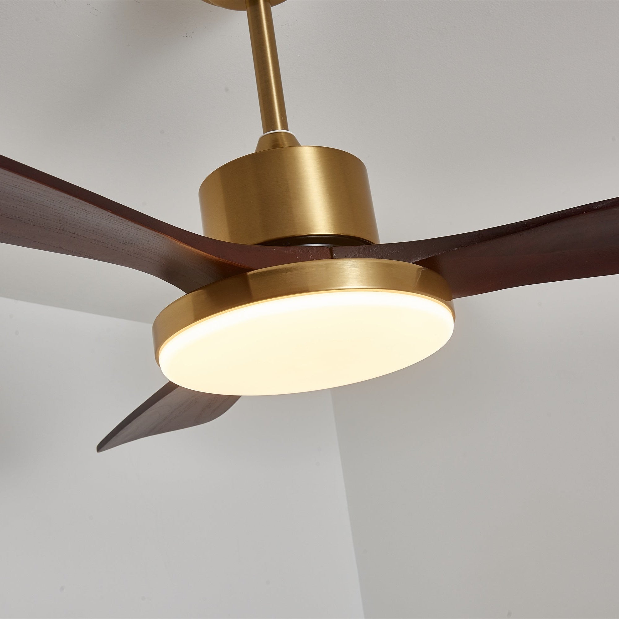 Lumen Brass Stem Wood Fan