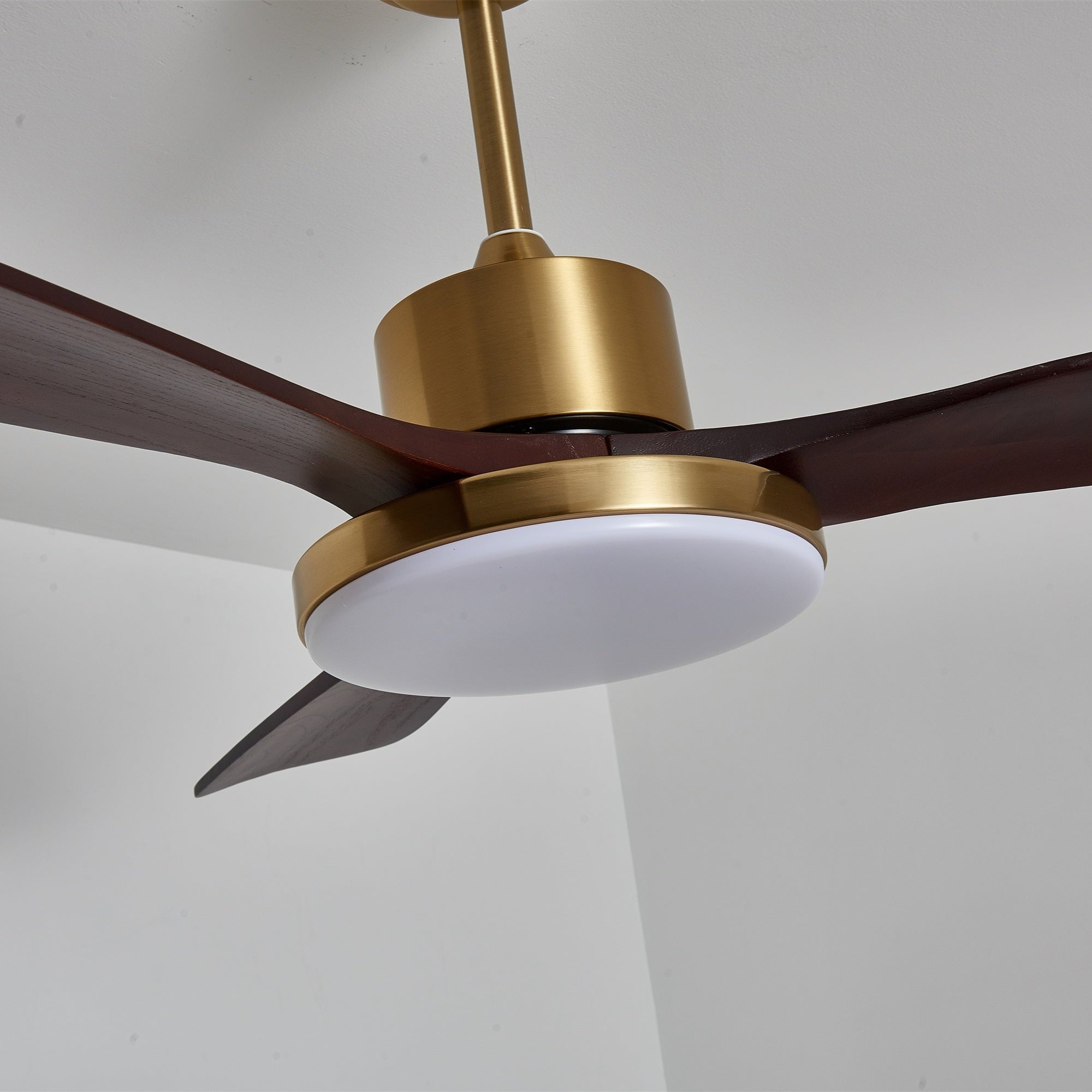 Lumen Brass Stem Wood Fan