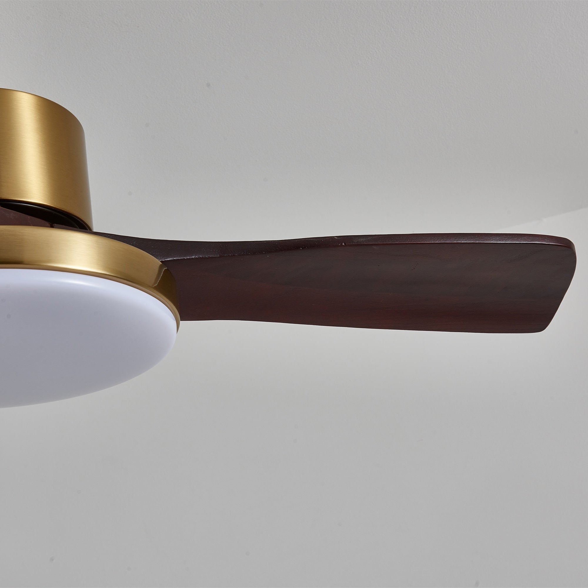 Lumen Brass Stem Wood Fan