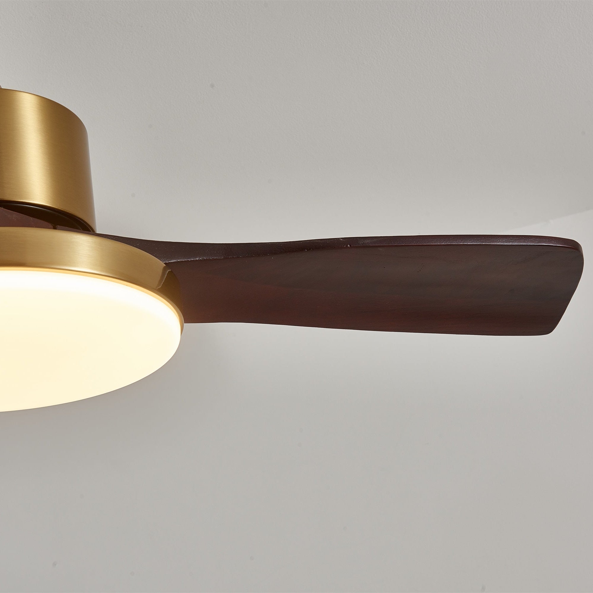 Lumen Brass Stem Wood Fan