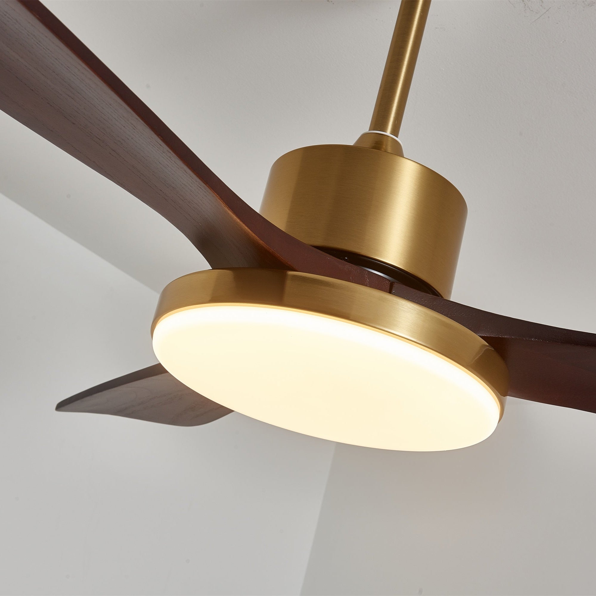 Lumen Brass Stem Wood Fan