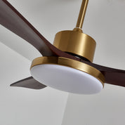 Lumen Brass Stem Wood Fan