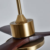Lumen Brass Stem Wood Fan