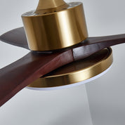 Lumen Brass Stem Wood Fan