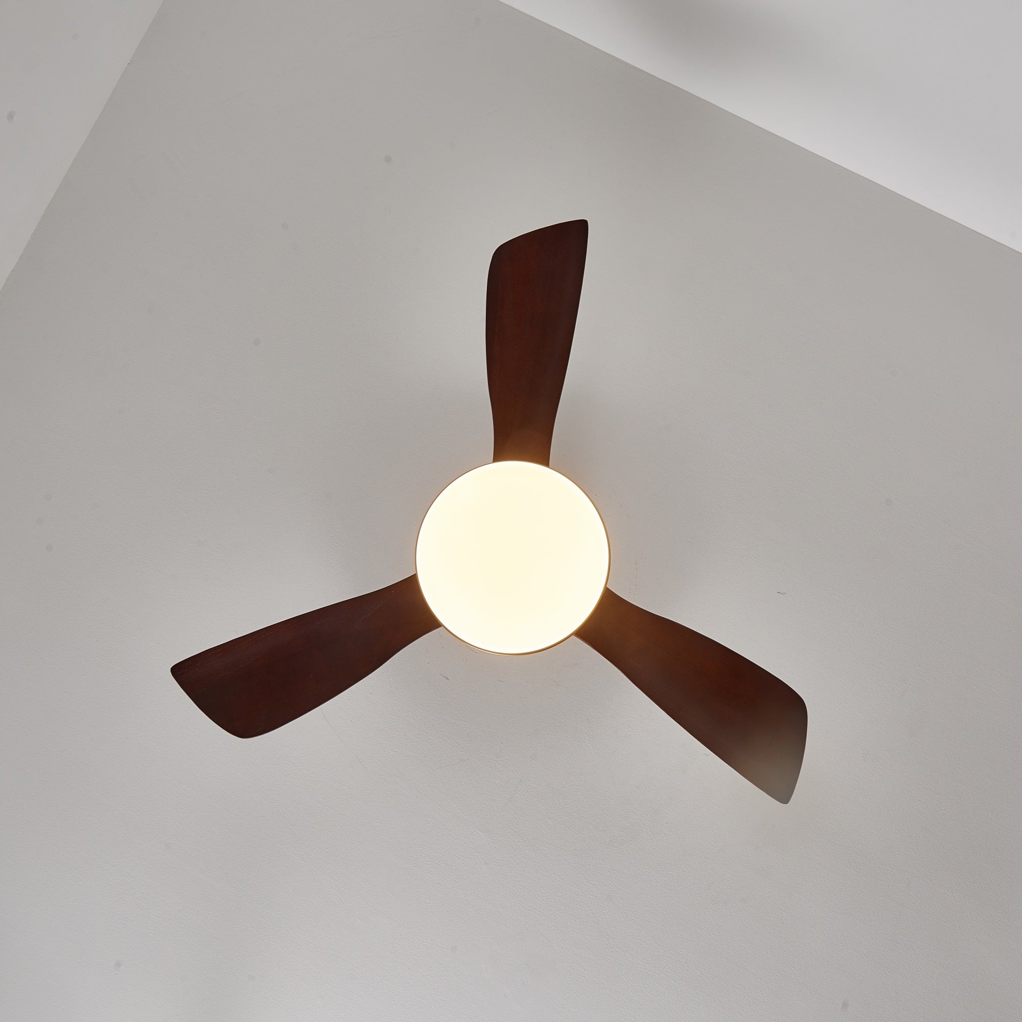 Lumen Brass Stem Wood Fan