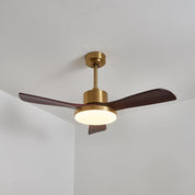 Lumen Brass Stem Wood Fan