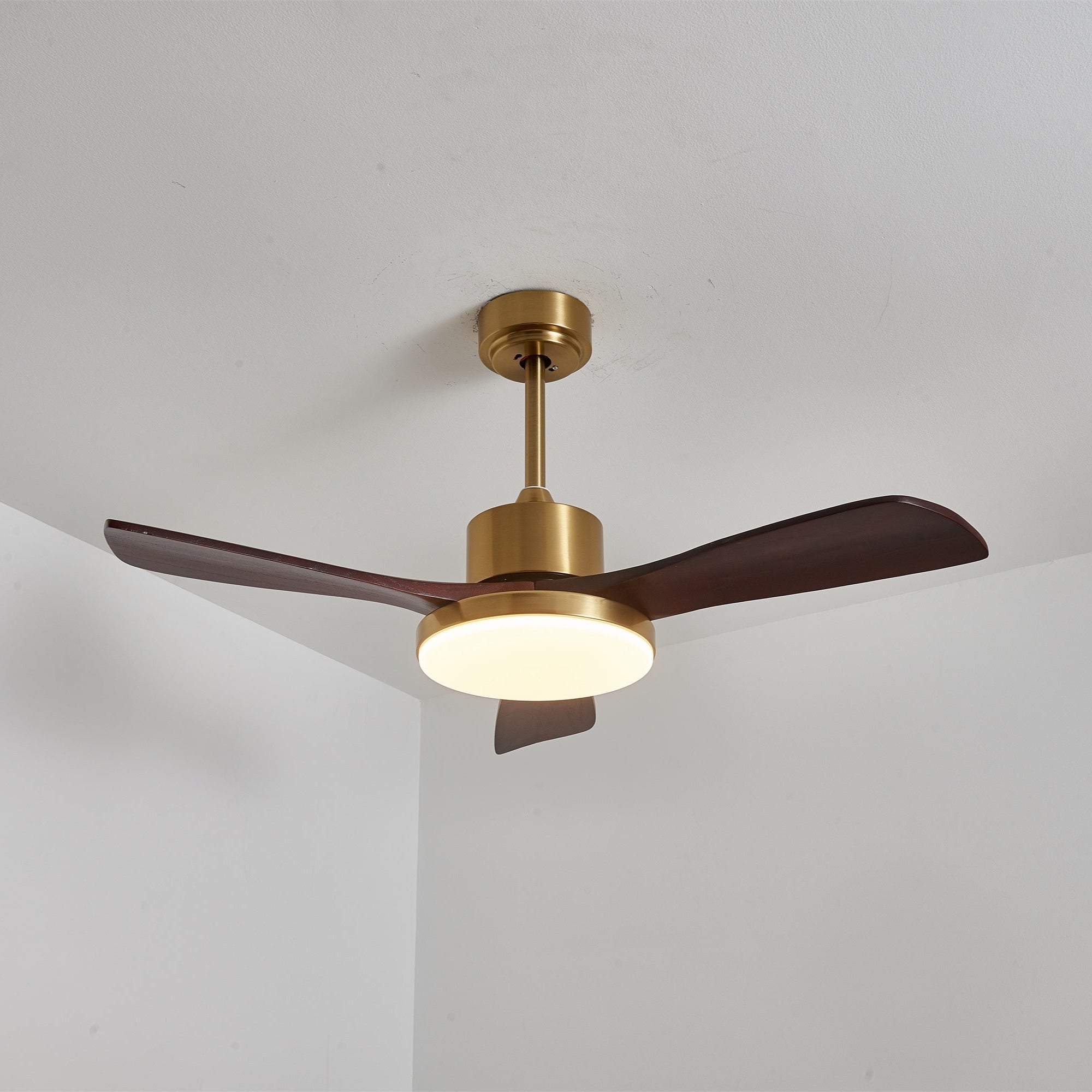 Lumen Brass Stem Wood Fan
