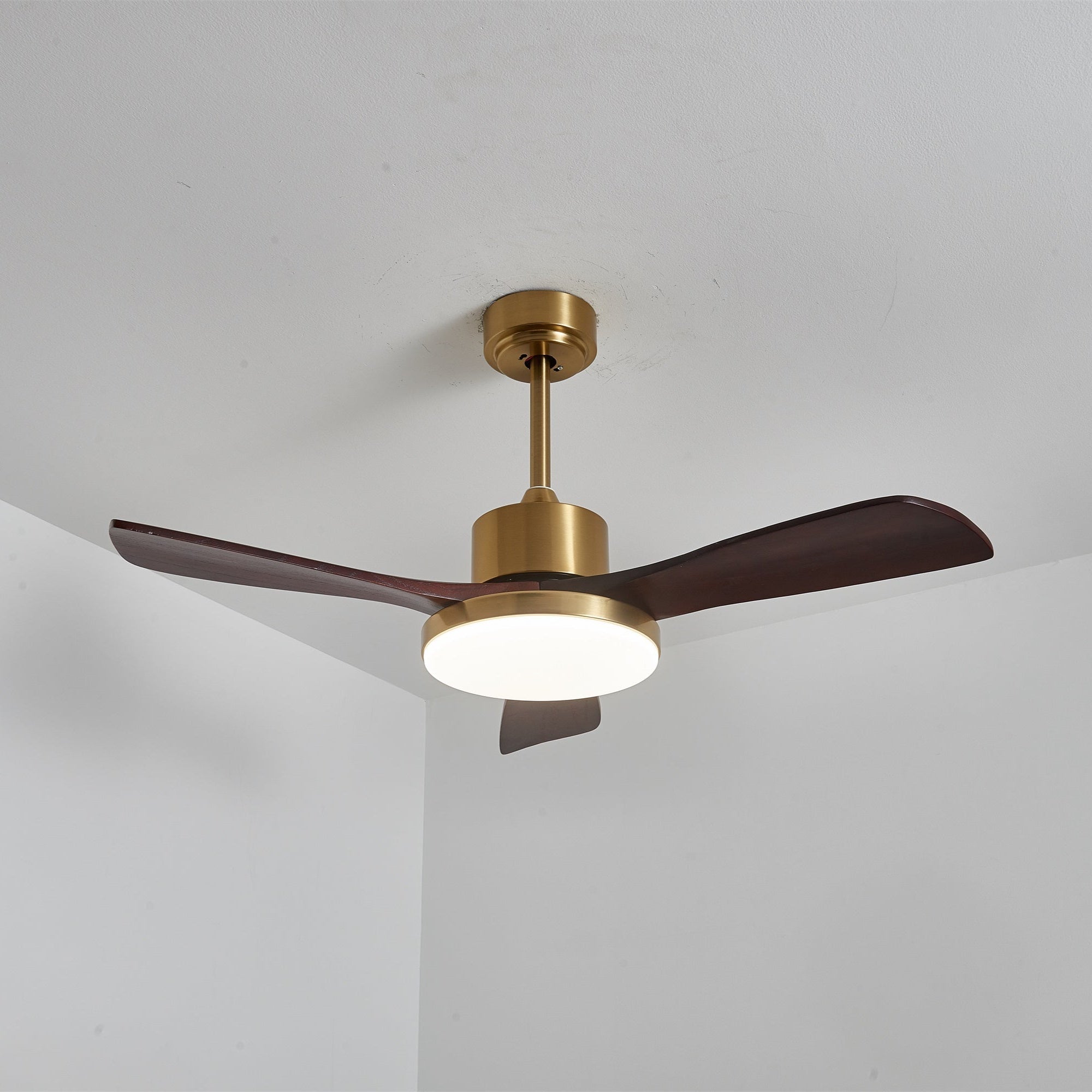 Lumen Brass Stem Wood Fan