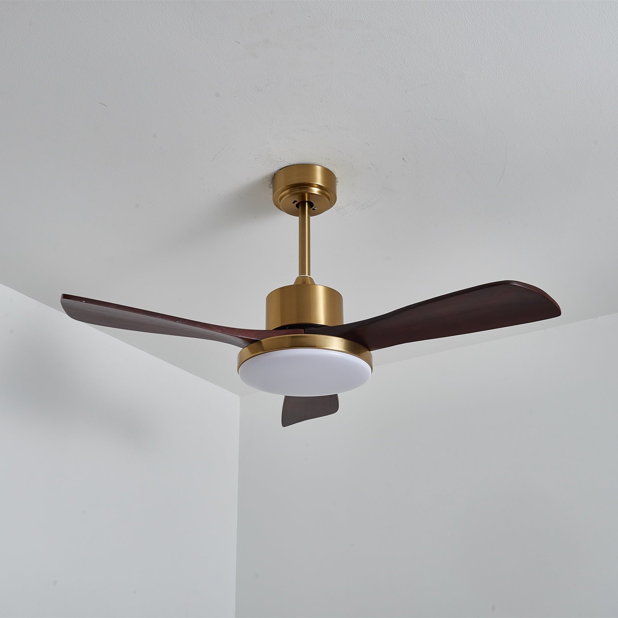 Lumen Brass Stem Wood Fan