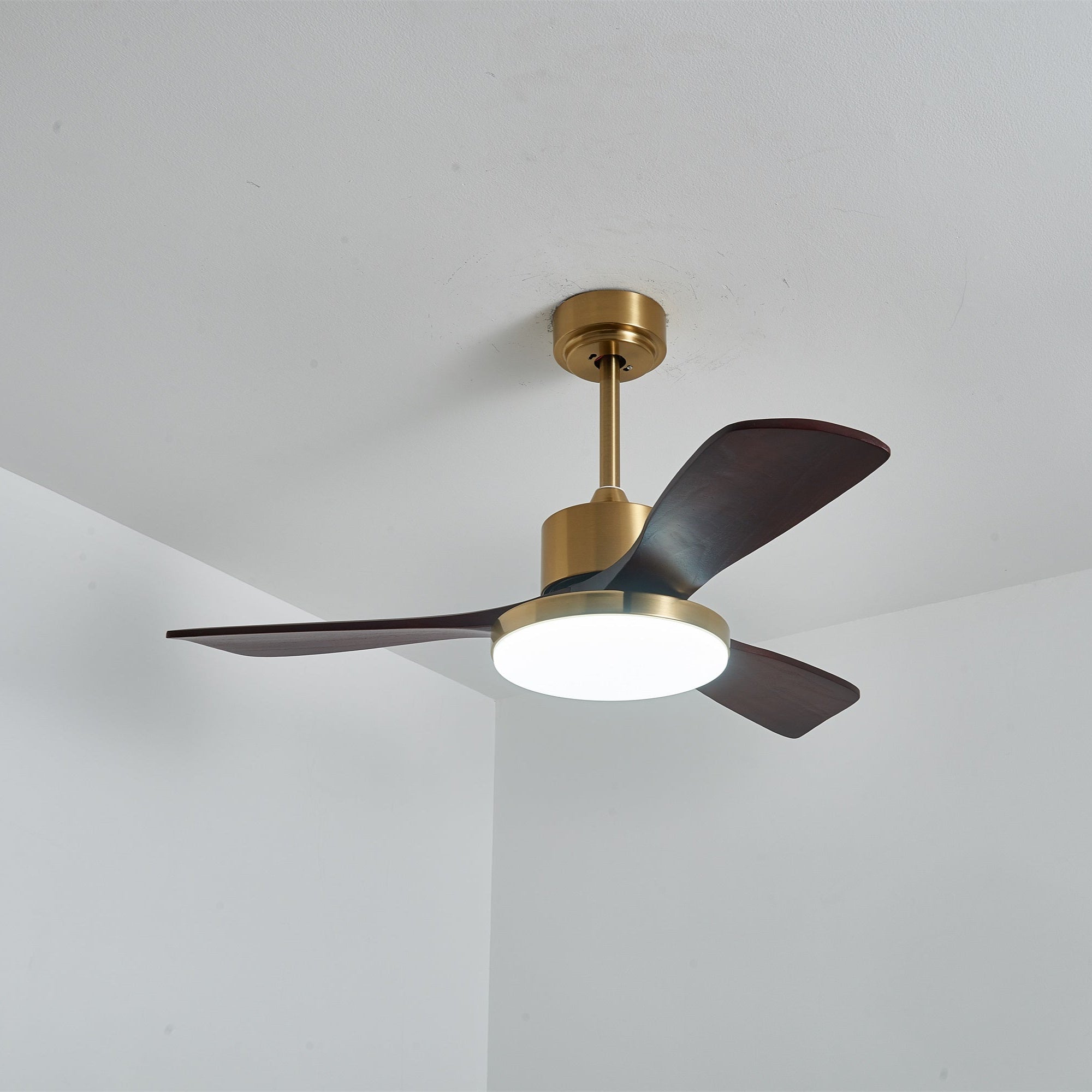 Lumen Brass Stem Wood Fan