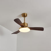Lumen Brass Stem Wood Fan