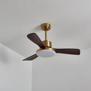 Lumen Brass Stem Wood Fan