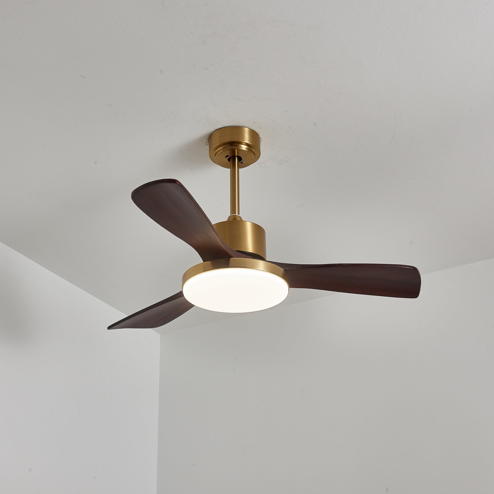 Lumen Brass Stem Wood Fan