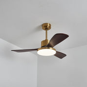 Lumen Brass Stem Wood Fan
