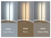 Lumen Corner LED Floor Lamp