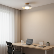 Lumen Eco Iron Shade Ceiling Light