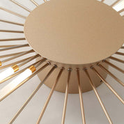 Lumen Fireworks LED Ceiling Light