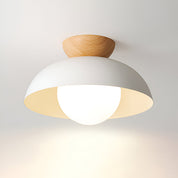 Lumen Eco Iron Shade Ceiling Light