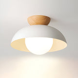 Lumen Eco Iron Shade Ceiling Light