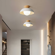 Lumen Eco Iron Shade Ceiling Light