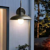 Lumen Industrial Outdoor Wall Light