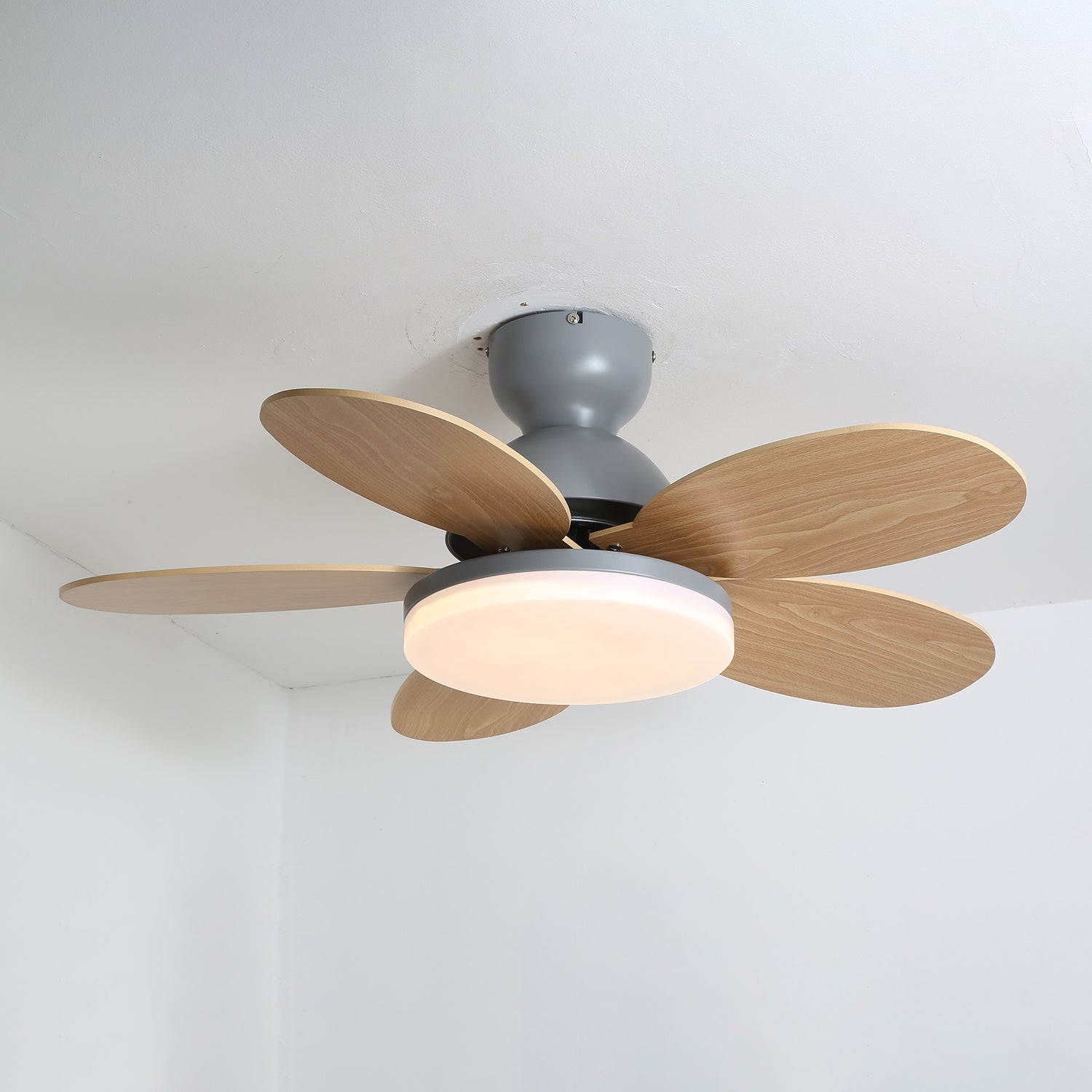 Lumen Petal Blade Ceiling Fan