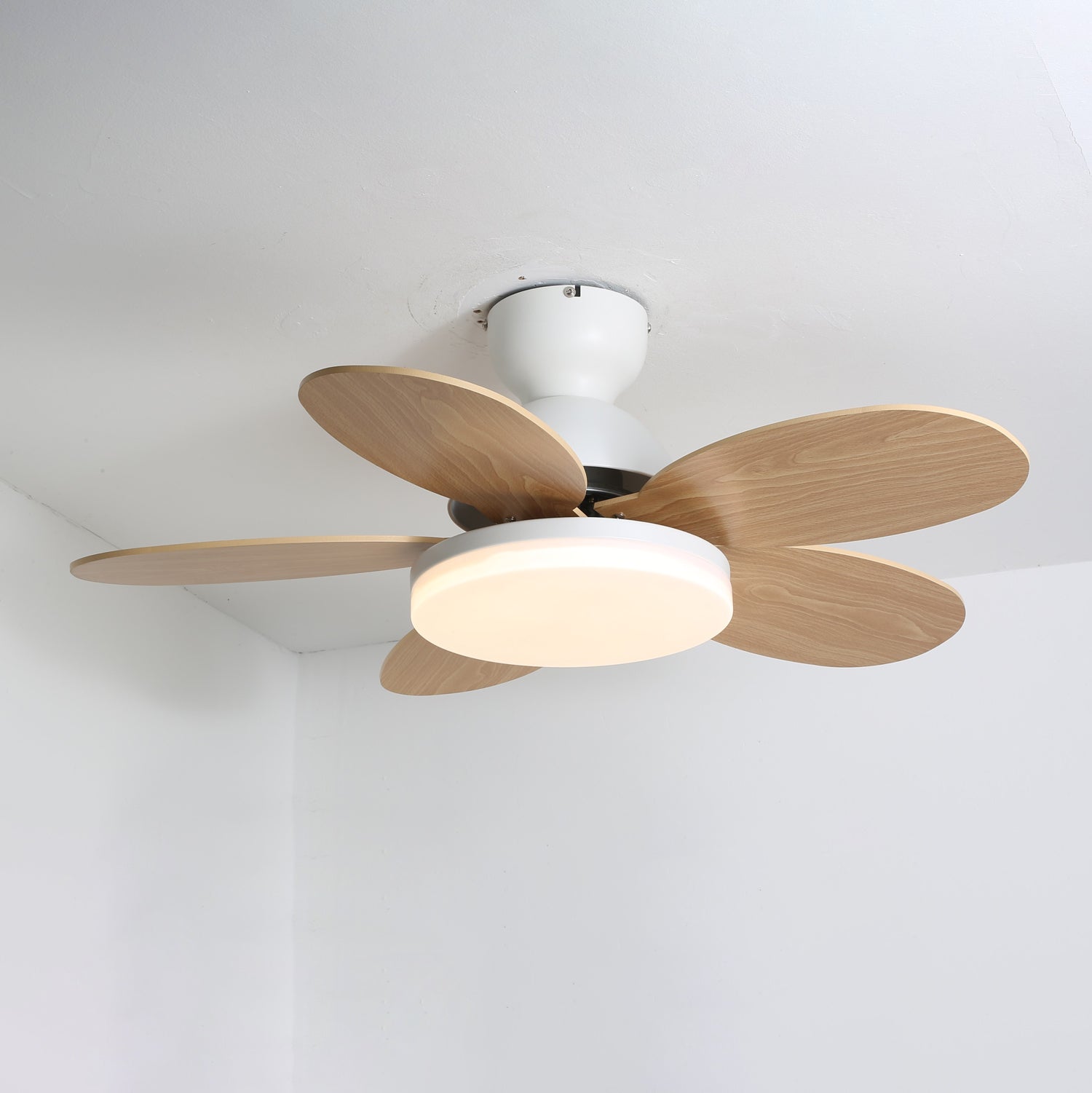 Lumen Petal Blade Ceiling Fan