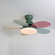 Lumen Petal Blade Ceiling Fan