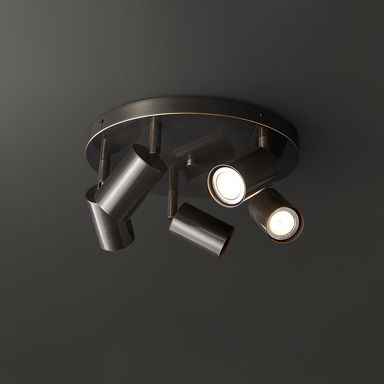Lumen Adjustable Multi Head Ceiling Light